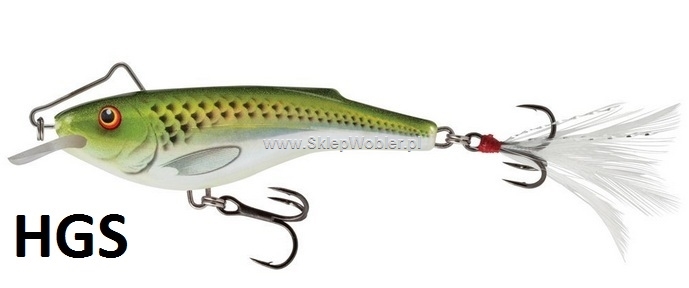 Salmo Rail Shad