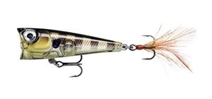 Zdjęcie Wobler Popper RAPALA X-Light Pop 4cm GGIU