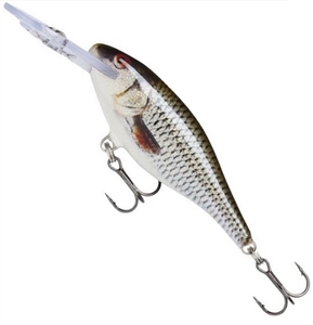 Zdjęcie WOBLER RAPALA SHAD RAP 7cm ROL