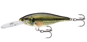 Zdjęcie WOBLER RAPALA SHAD RAP 7cm LBL