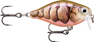 Zdjęcie Wobler RAPALA X-Light Crank SR 3,5cm PUPU