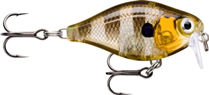 Zdjęcie Wobler RAPALA X-Light Crank SR 3,5cm GGIU