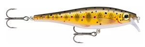 Zdjęcie Woblery RAPALA BX Minnow 7cm TR