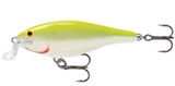 WOBLER RAPALA SHAD RAP SHALLOW 9cm SFC